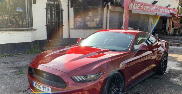 Ruby Red Mustang