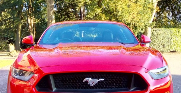 V8 Mustang